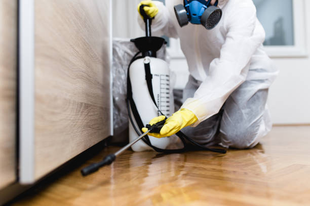 Best Flea Control Services  in Twin City, GA