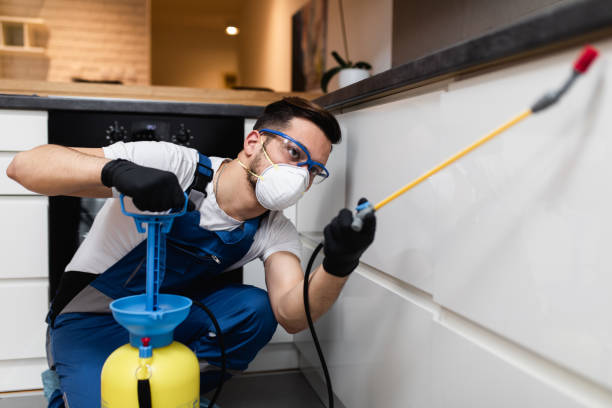 Best Affordable Pest Control Services  in Twin City, GA
