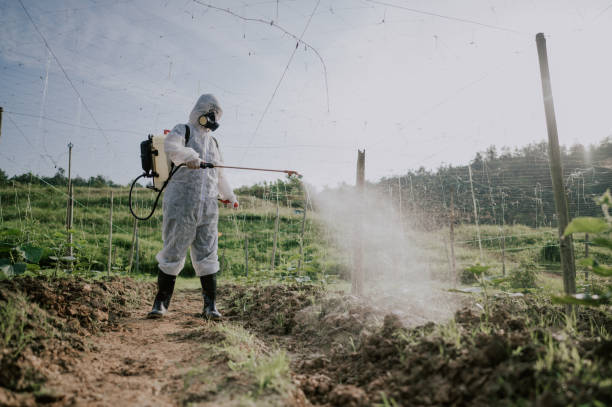 Best Mosquito Control Services  in Twin City, GA