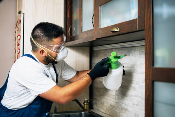 Best Local Pest Control Services  in Twin City, GA