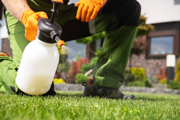 Best Bed Bug Extermination  in Twin City, GA