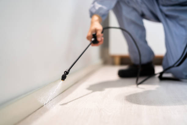 Best Wasp Removal Services  in Twin City, GA