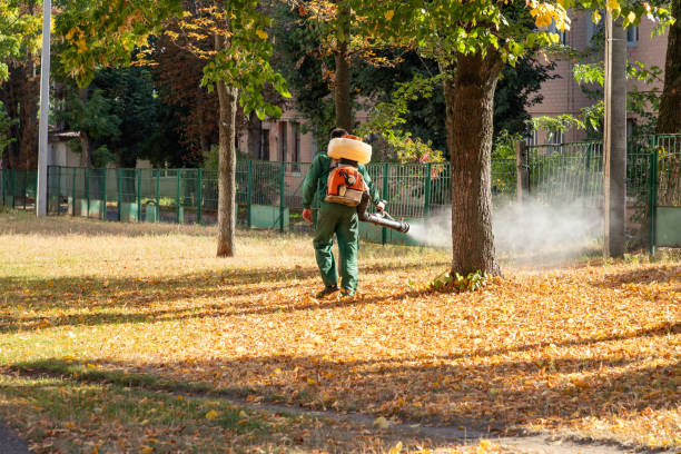 Best Emergency Pest Control  in Twin City, GA