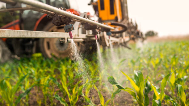 Best Commercial Pest Control Services  in Twin City, GA